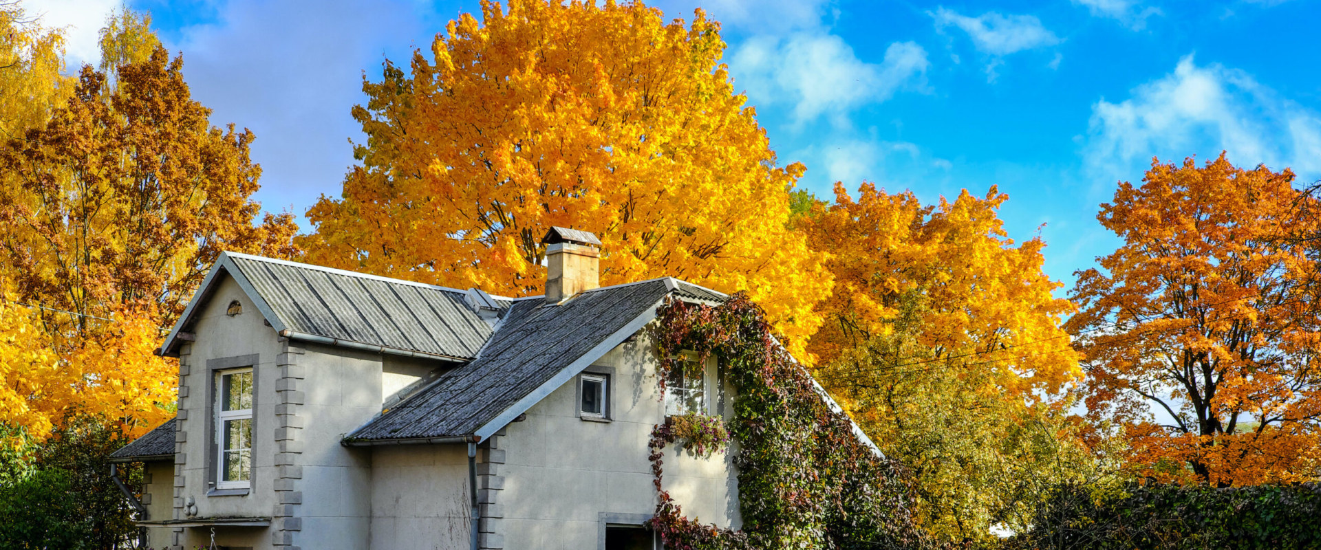 Avoiding Peak Moving Season for Lower Rates