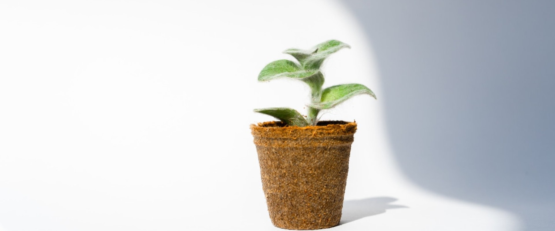 Creative Ways to Repurpose Household Items for Packing