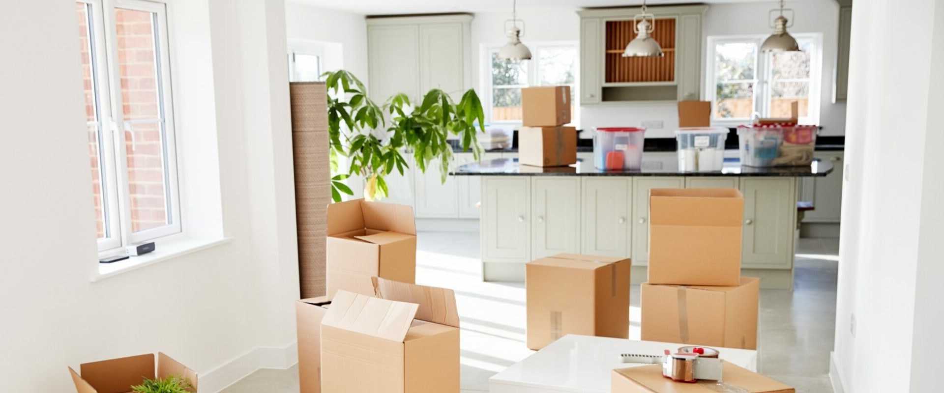 The Ultimate Guide to Cross Border Movers: Tips from an Expert